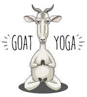 Pygmy Goat Yoga